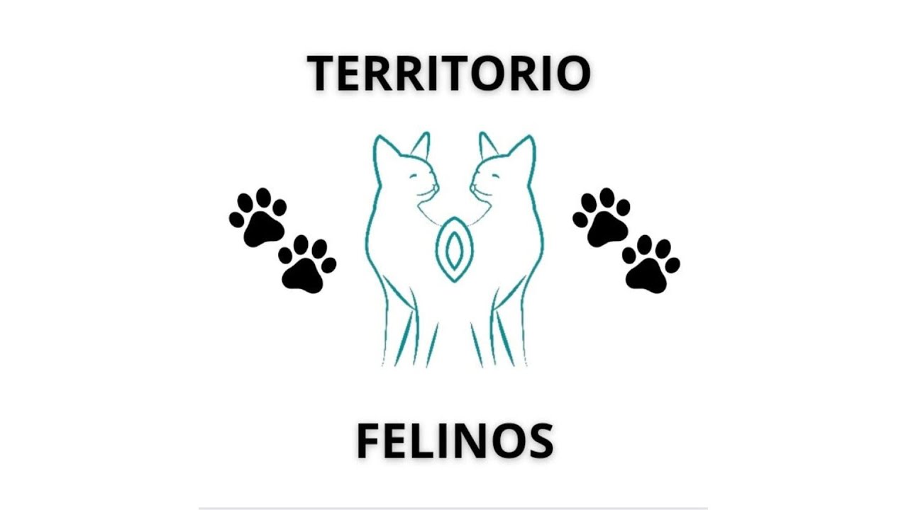 Territorio Felinos - Programa 9 