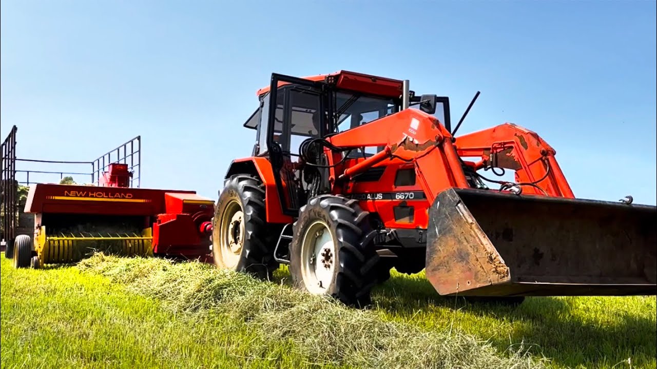 Making HIGH QUALITY Horse Hay!!!!  (Square Baling First Cutting Hay)