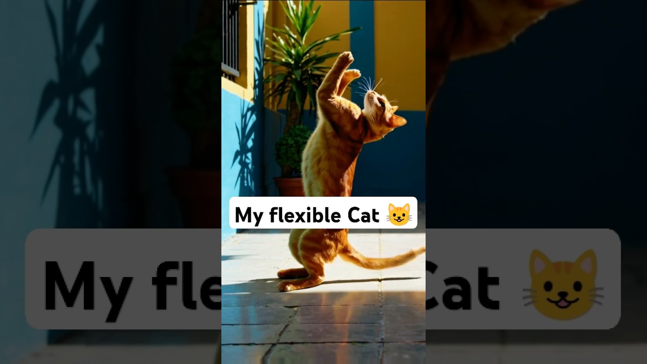 #cat
