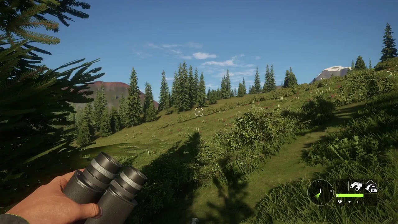 Live playin hcotw