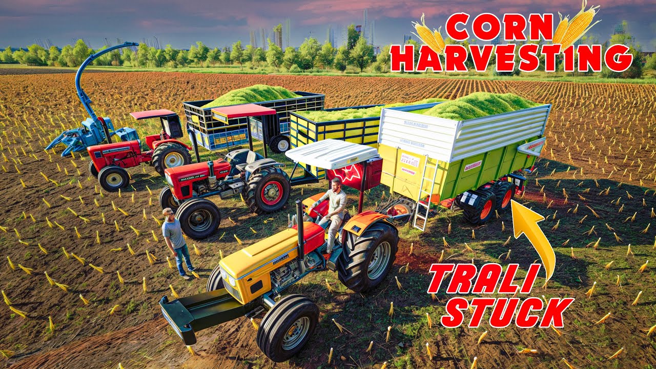 ਮੱਕੀ ਦਾ ਅਚਾਰ, Corn Harvesting | Trali Stuck | Swaraj 855 & 5911| @Happy_Goldsmith