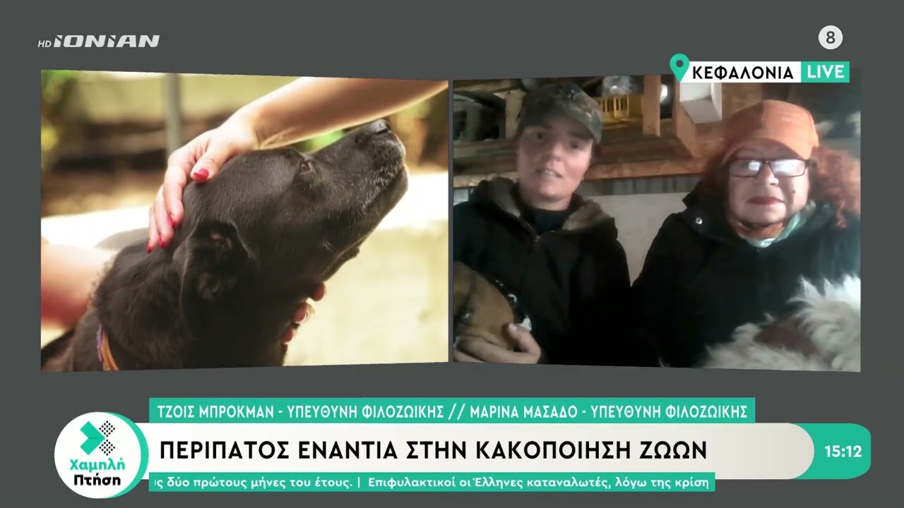 Περίπατος στο Αργοστόλι ενάντια στην κακοποιήση ζώων