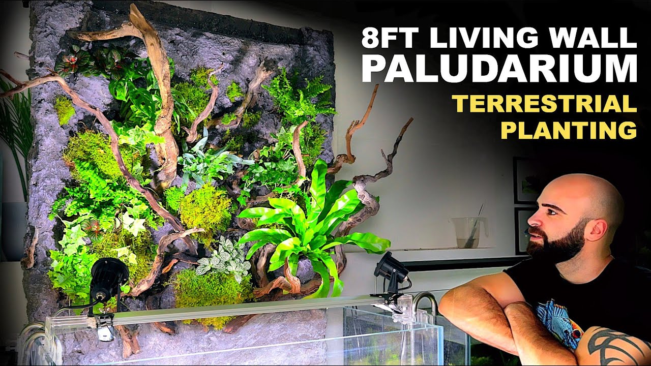 8ft Living Wall Paludarium: Terrestrial Planting (EP3)