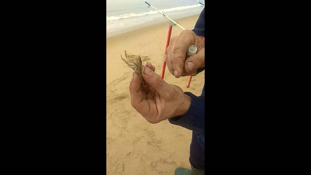 Montajes de Galeras para pescar con mar en calma