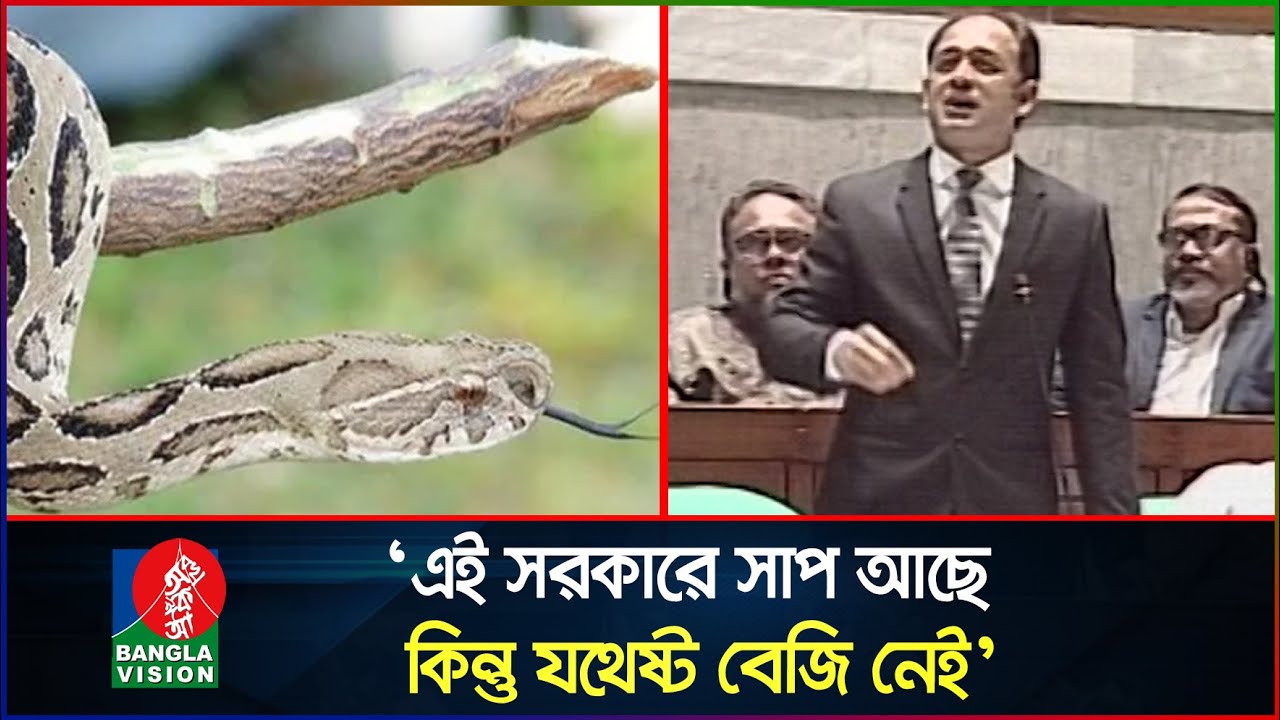 এই সরকারেও রাসেলস ভাইপার সাপ আছে: সংসদে ব্যারিস্টার সুমন | Barrister Sumon | Banglavision News