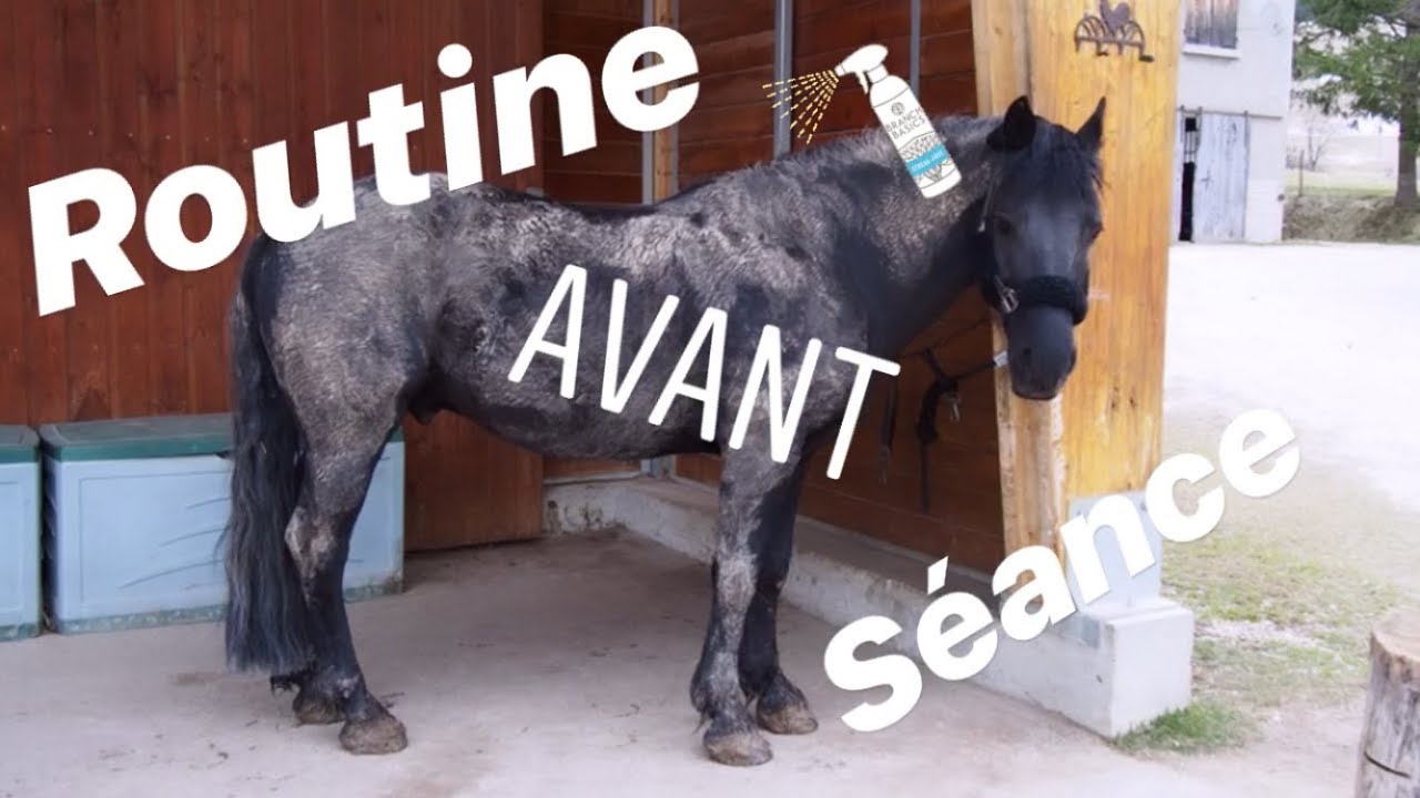 Routine avant séance