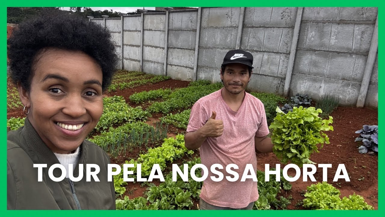 Tour pela nossa horta/ fizemos uma horta no nosso terreno de mil metros 