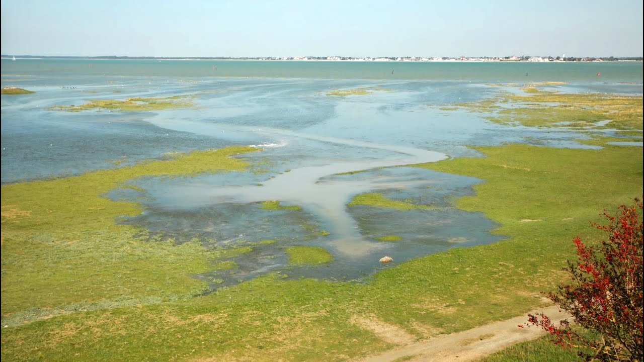 Time-lapse : Grande Marée en Baie de Somme, Septembre 2020