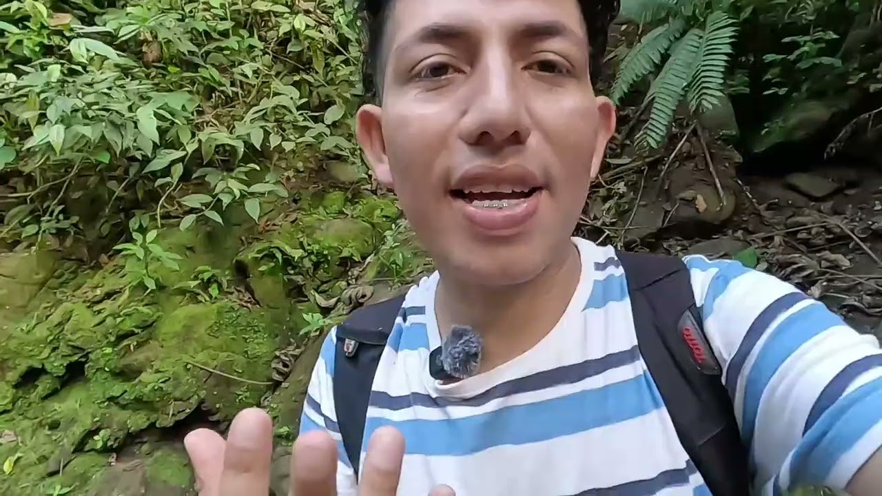 Visité una cascada escondida en media de la selva 🇨🇷