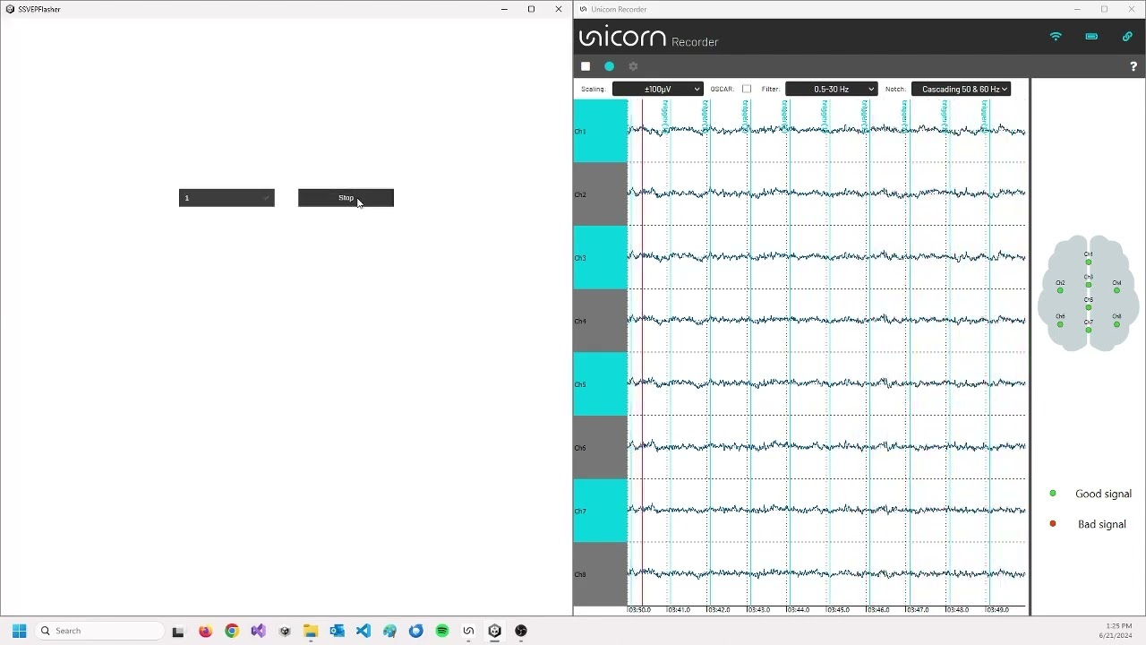 Unicorn Recorder 1.24.00 - VEP Examples