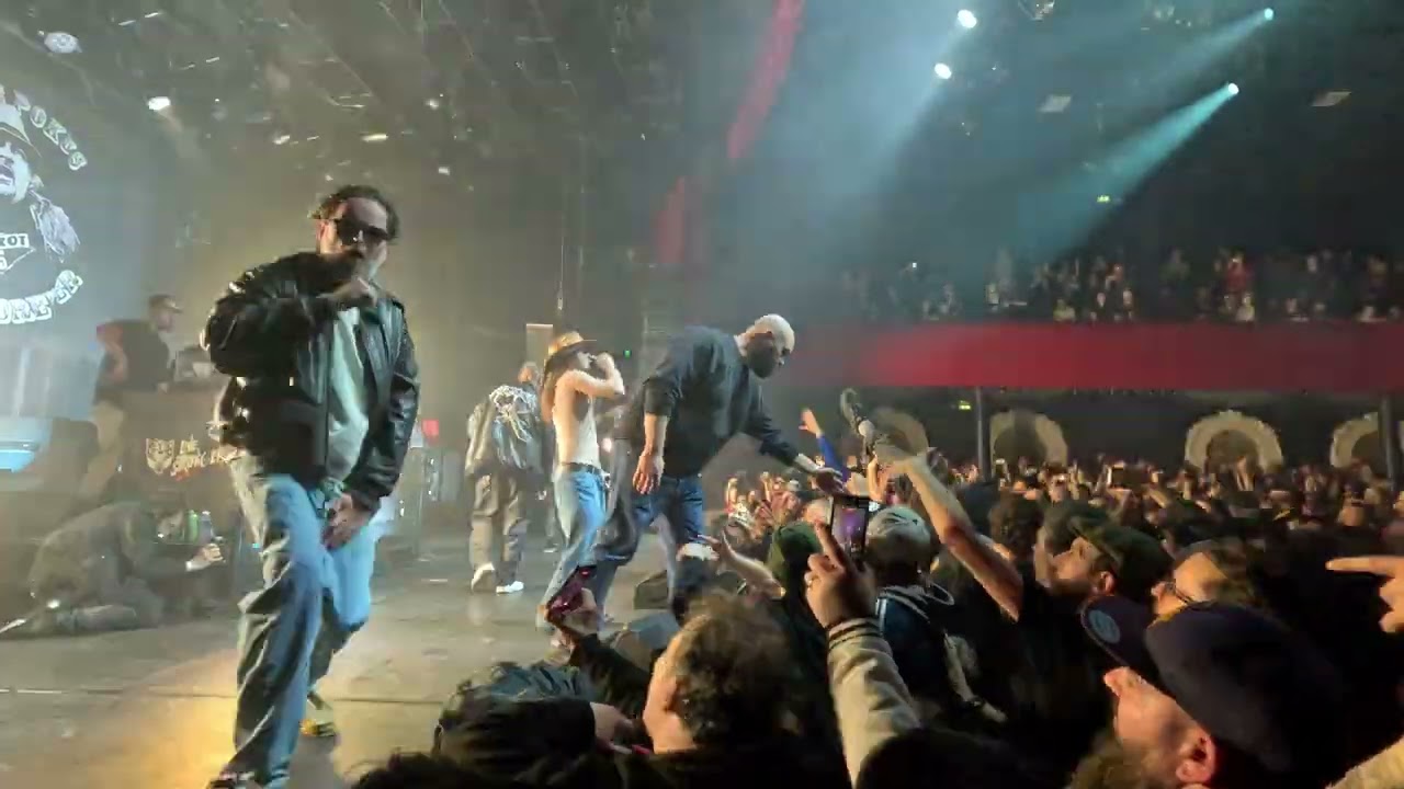 Svinkels - Réveille le Punk - Live au Bataclan (videaste.eu)