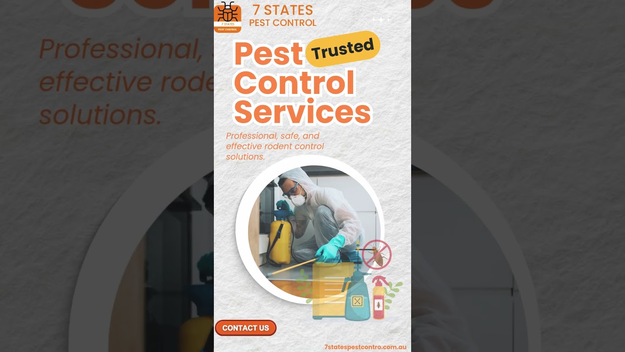Effective Spider Control Services in Melbourne &ndash; 7 States Pest Control