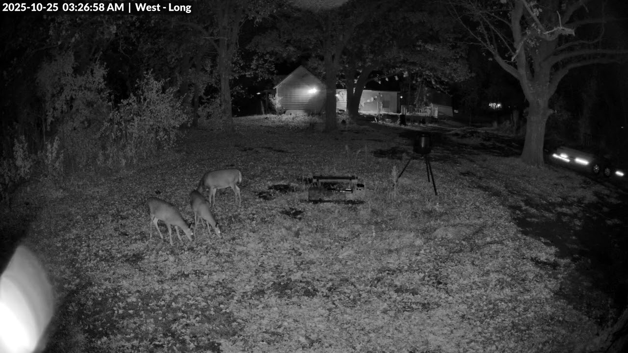 Animal Watch - 10/25/25 AM