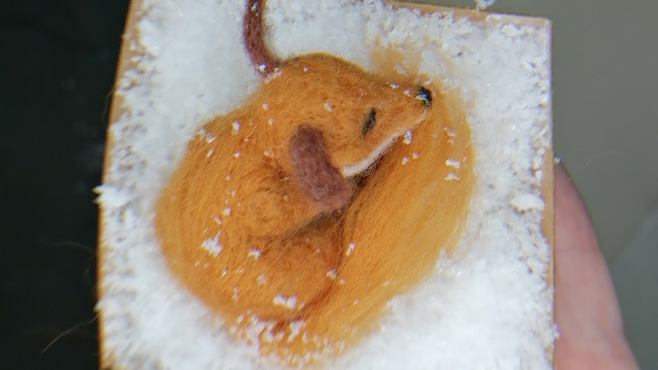 Time lapse renard en laine feutrée