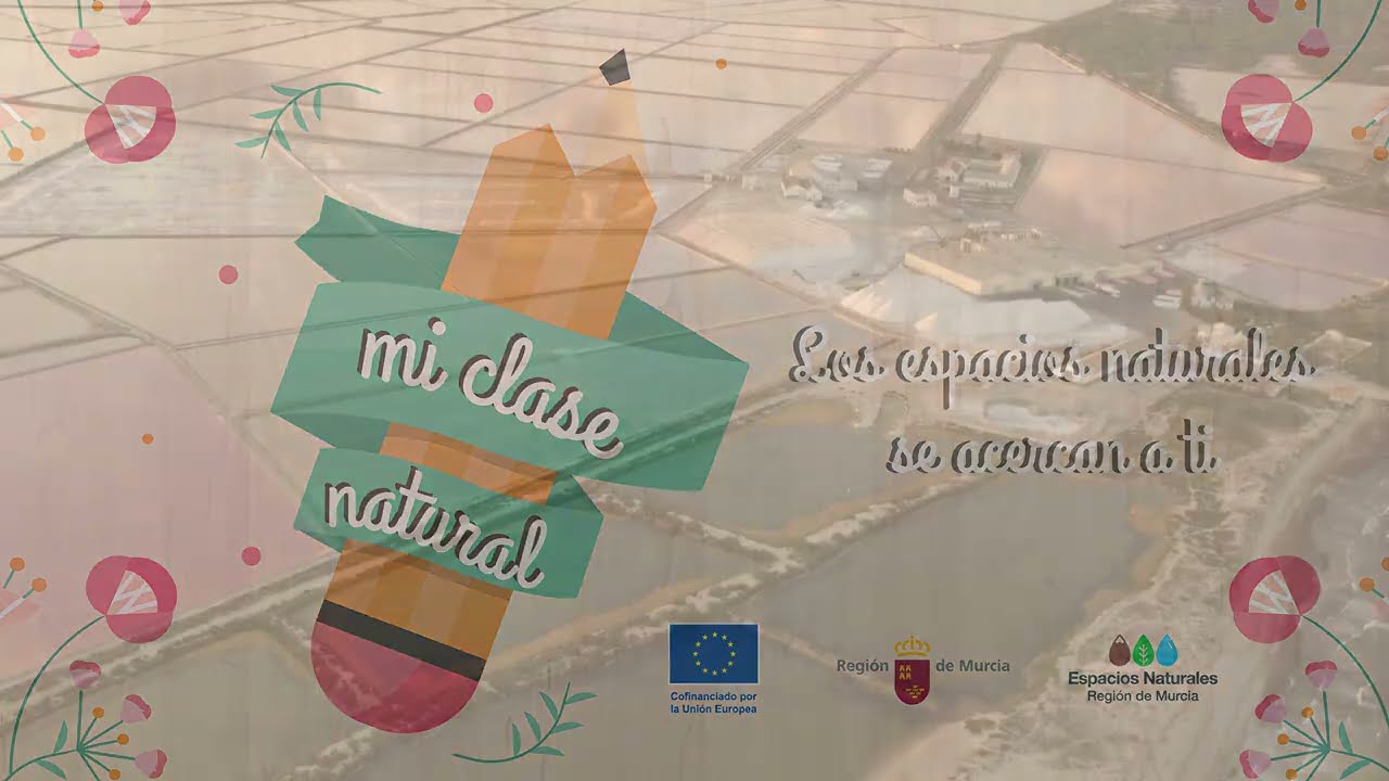 NUESTRAS VECINAS LAS AVES - PARQUE REGIONAL SALINAS Y ARENALES DE SAN PEDRO DEL PINATAR