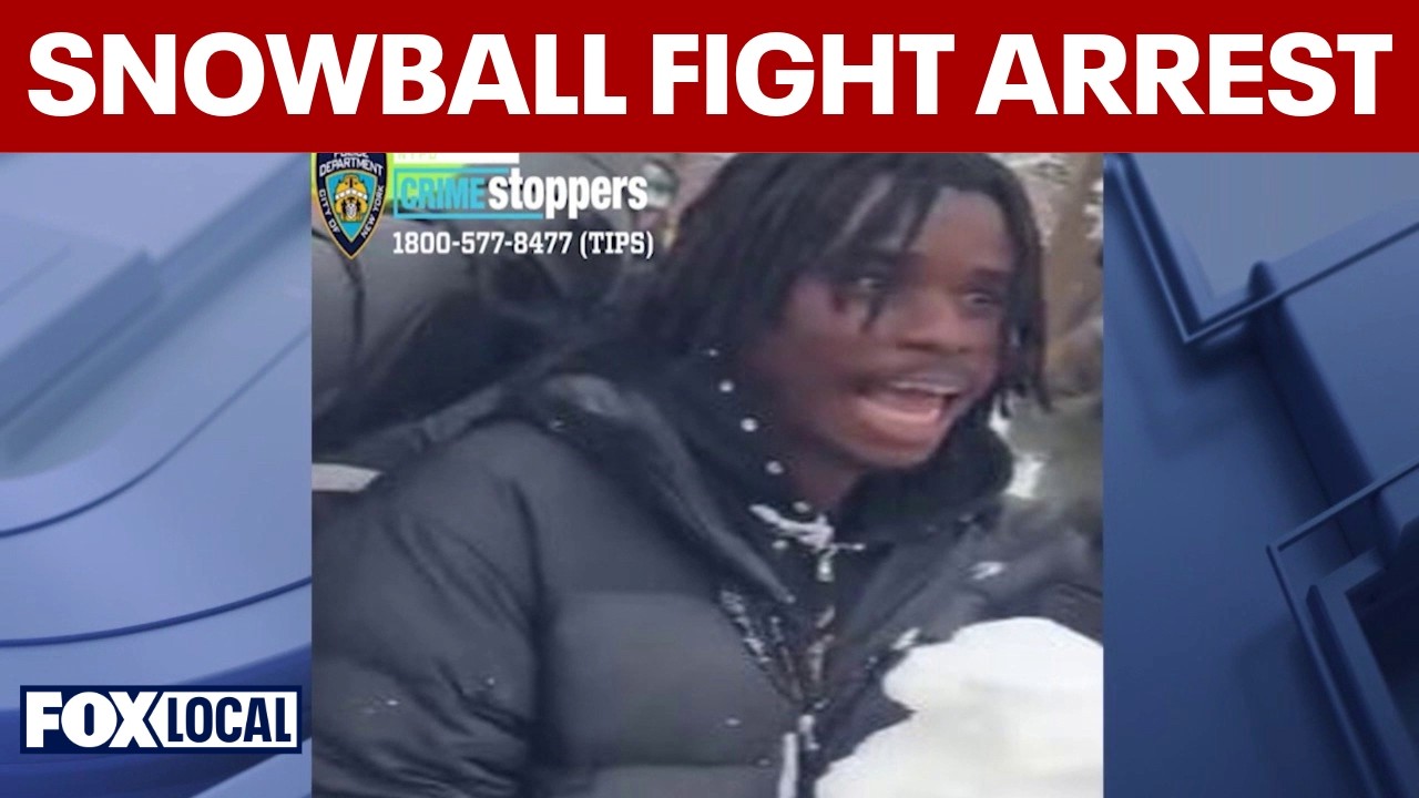 Snowball fight in NYC: NYPD arrest suspect accused of hitting officers