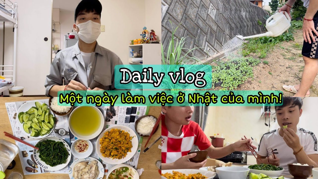 213 | Daily Vlog | Đ&acirc;y L&agrave; Qu&aacute; Tr&igrave;nh Một Ng&agrave;y L&agrave;m Việc Ở Nhật Của M&igrave;nh | Đức Thư Vlogs