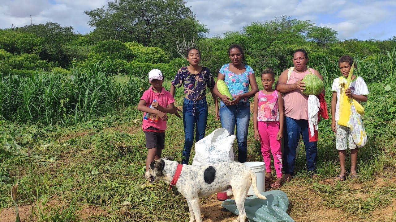 OS MELHORES MOMENTOS NO ROÇADO DO REPÓRTER MATUTO NO SÍTIO MAMOEIRO COM VISITA DOS TRÊS RIACHOS.