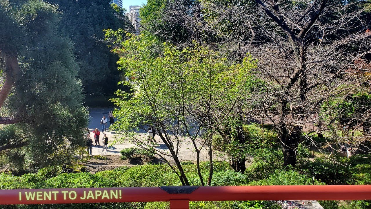 I Went To Japan! - Japan Vlog Part 1