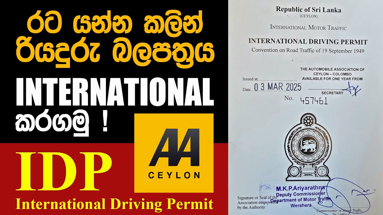 රියදුරු බලපත්&zwj;රය ඉන්ටර්නැශනල් කරගමු | How To Get The International Driving License (IDP) | Dp hub