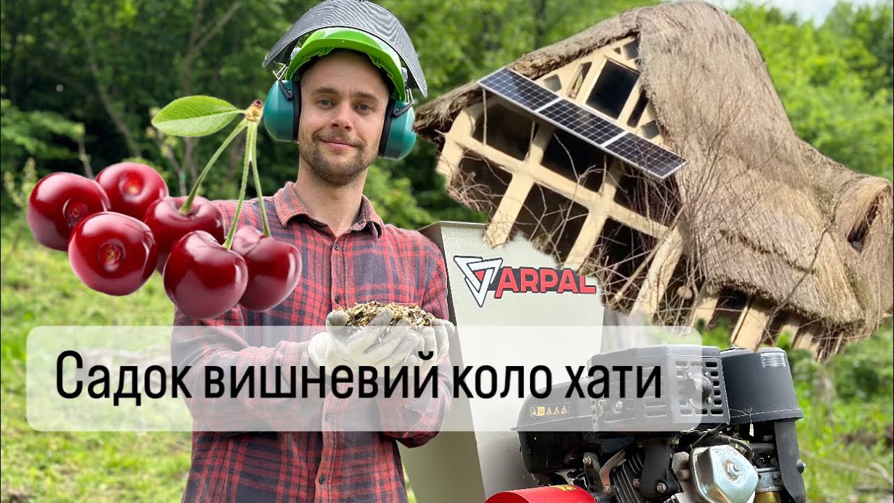 Рік розчистки ділянки разом з ​⁠@arpal_vin