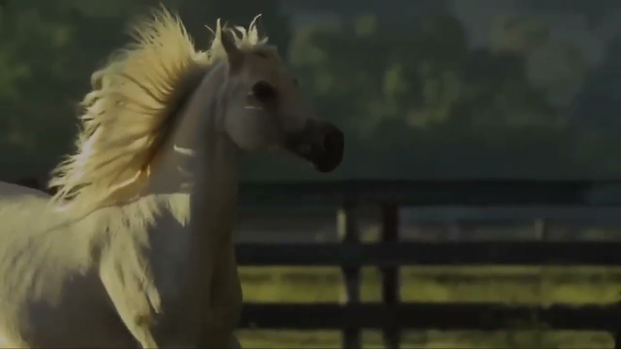 idkn i kinda like this random video i made