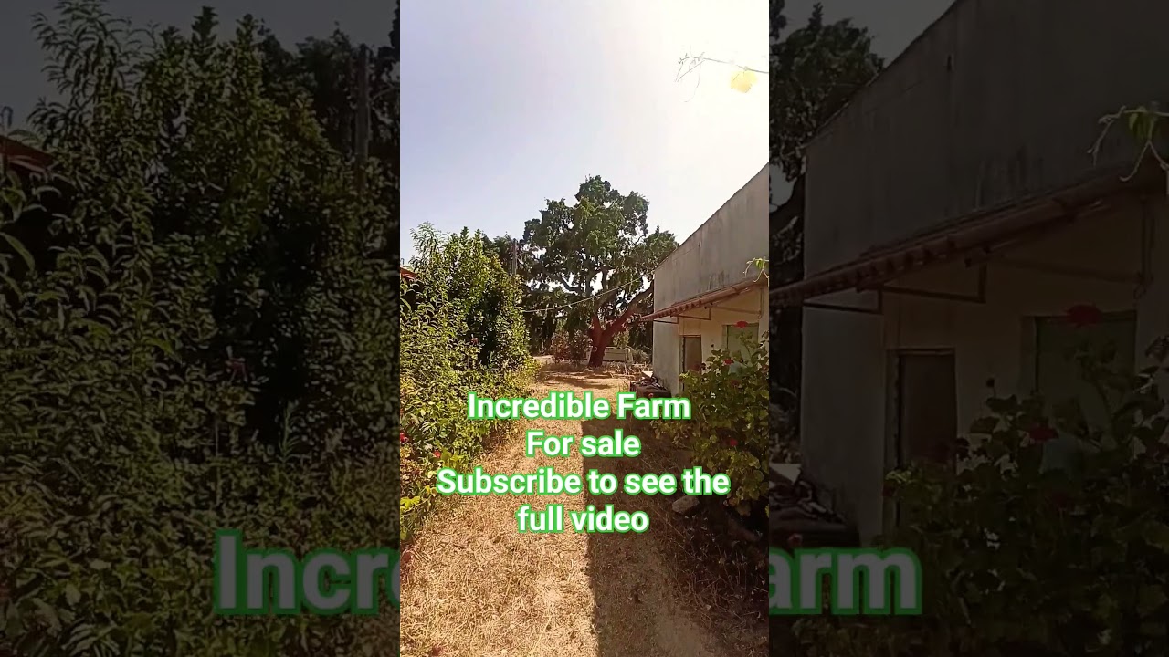 Incredible Portugal Farm For Sale 17ha Teaser