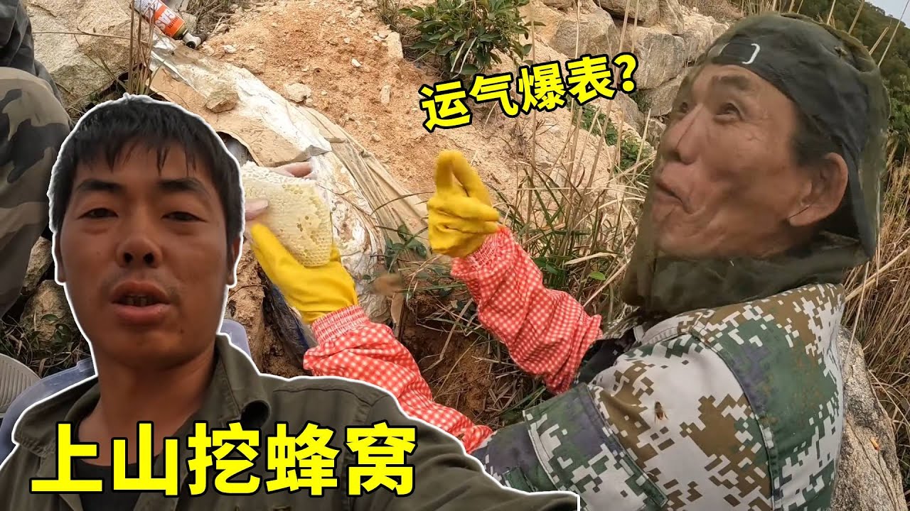 上山挖蜂窝，直接运气爆表连挖三窝好蜂，今天继续第四窝！#蜂窝#农村生活