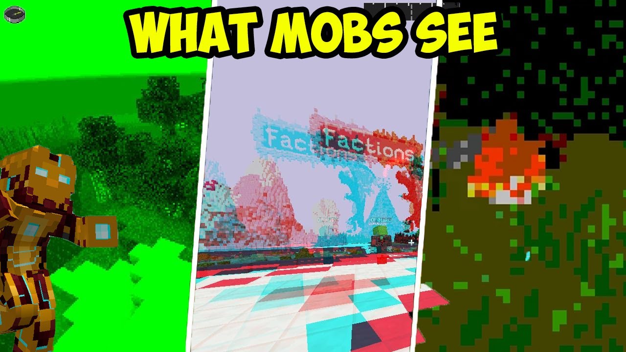 Minecraft What mobs see (EASY)