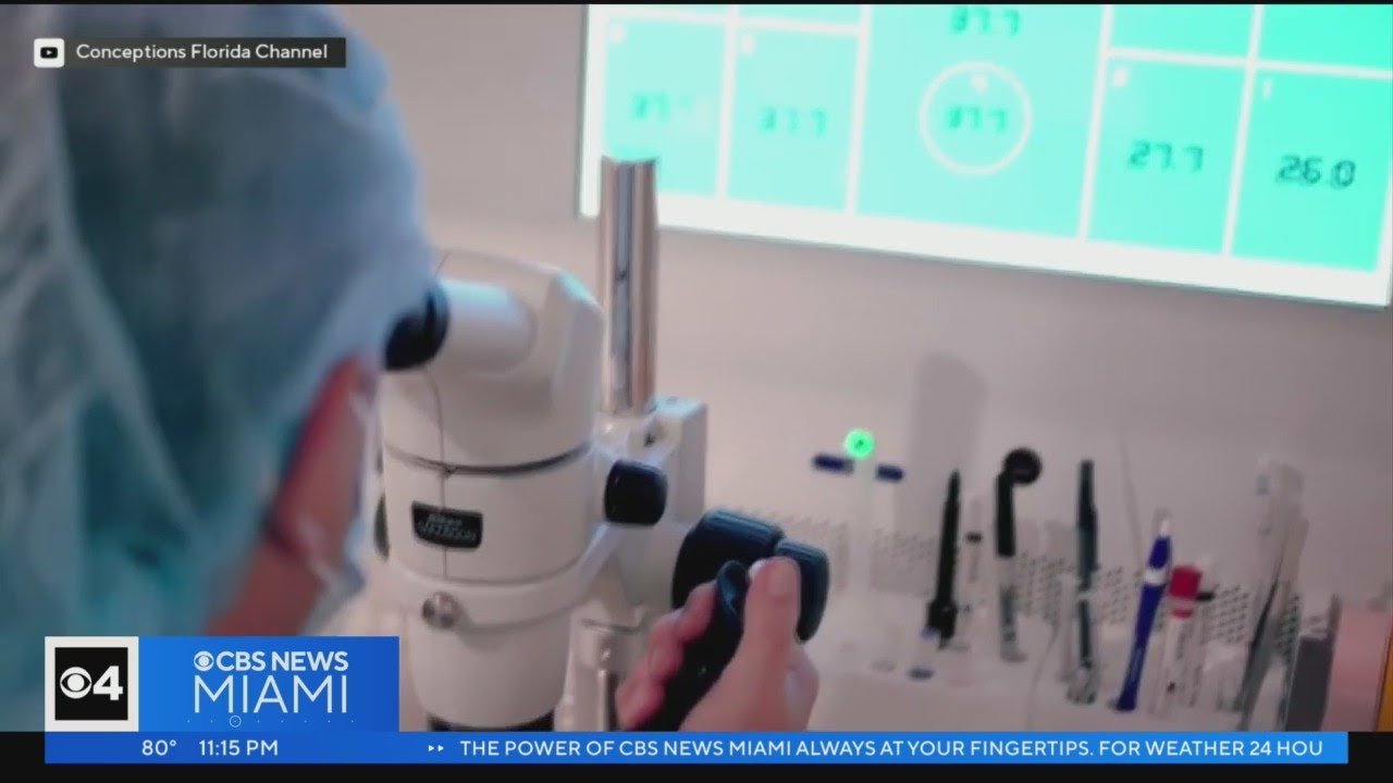 Global fertility market alive and well with many women freezing eggs abroad
