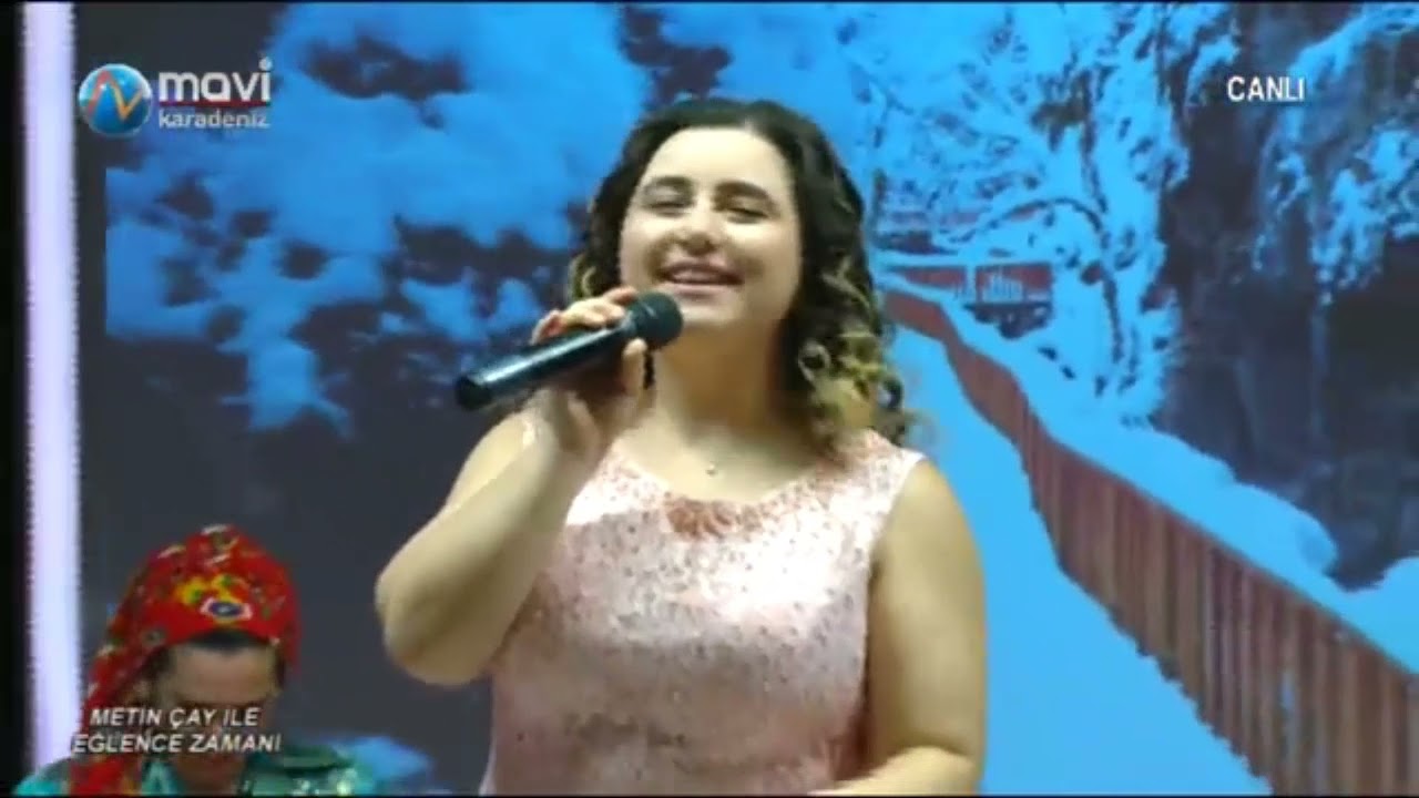 ERZİNCAN OVALARI Gülnur Kocaeli