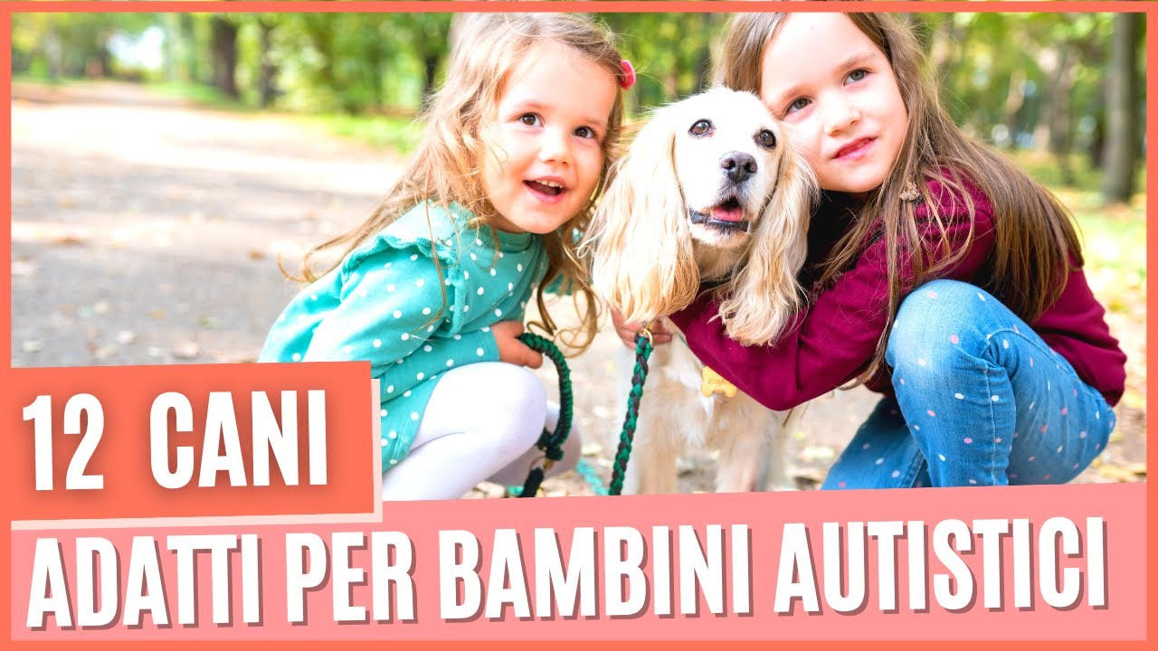 Cani adatti per bambini autistici | Pet Therapy per autistici | Razze di cane adatti ai bambini (2°)