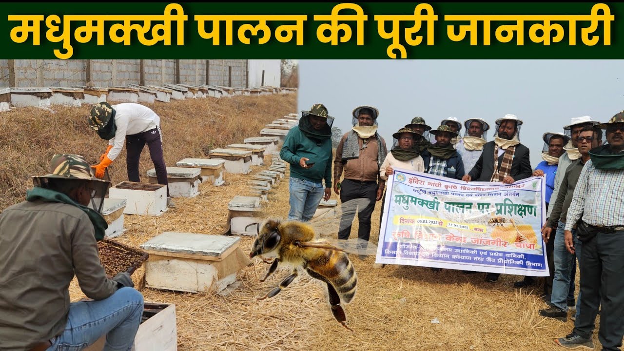मधुमक्खी पालन की पूरी सच्चाई? How to start Beekeeping Business.