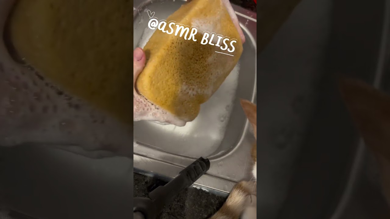 🤍WHITE SUDS🤍 blue Palmolive dish soap, soft scrub and some saved product water 