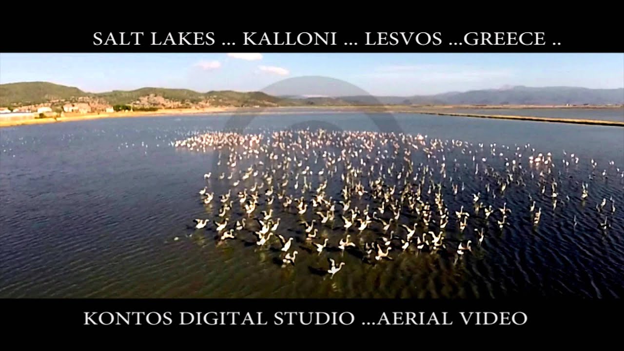 SALT LAKES KALLONI LESVOS GREECE