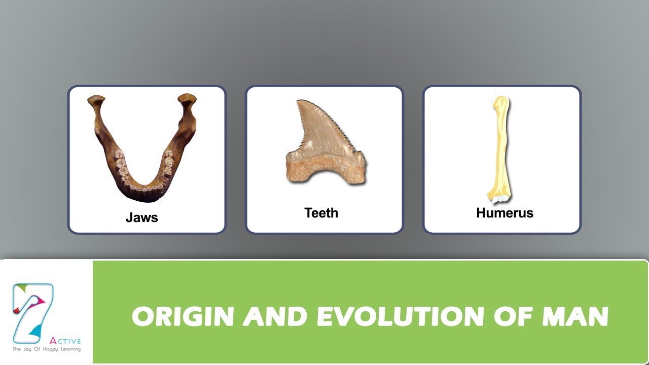 ORIGIN AND EVOLUTION OF MAN PART 02