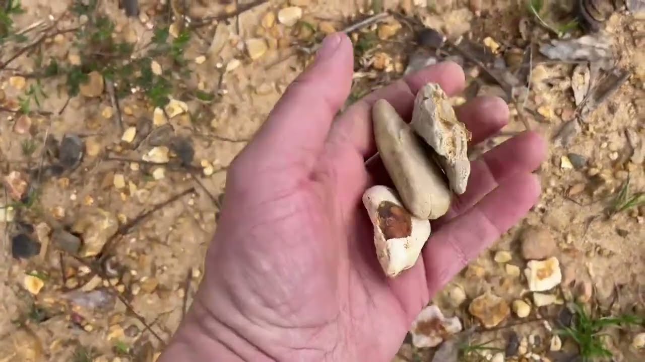 Arrowhead Hunting 3