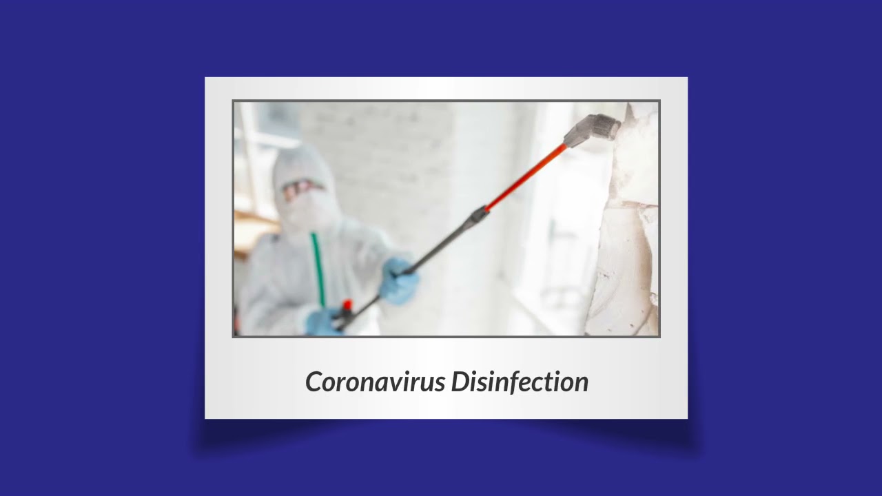 Water Damage Restoration Company Baltimore Maryland