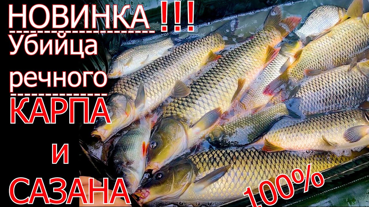 Убийца КАРПА и САЗАНА. Супер тесто для рыбалки.ТЕСТО своими руками.Насадка ТИГРОВЫЙ орех и БАНАН!!!