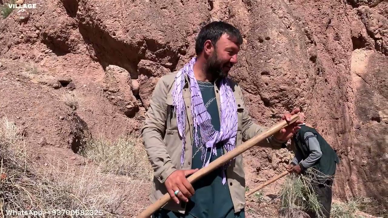 A Day with the #vlogger | Daily life of Afghanistan | #water the farm of Potatoes