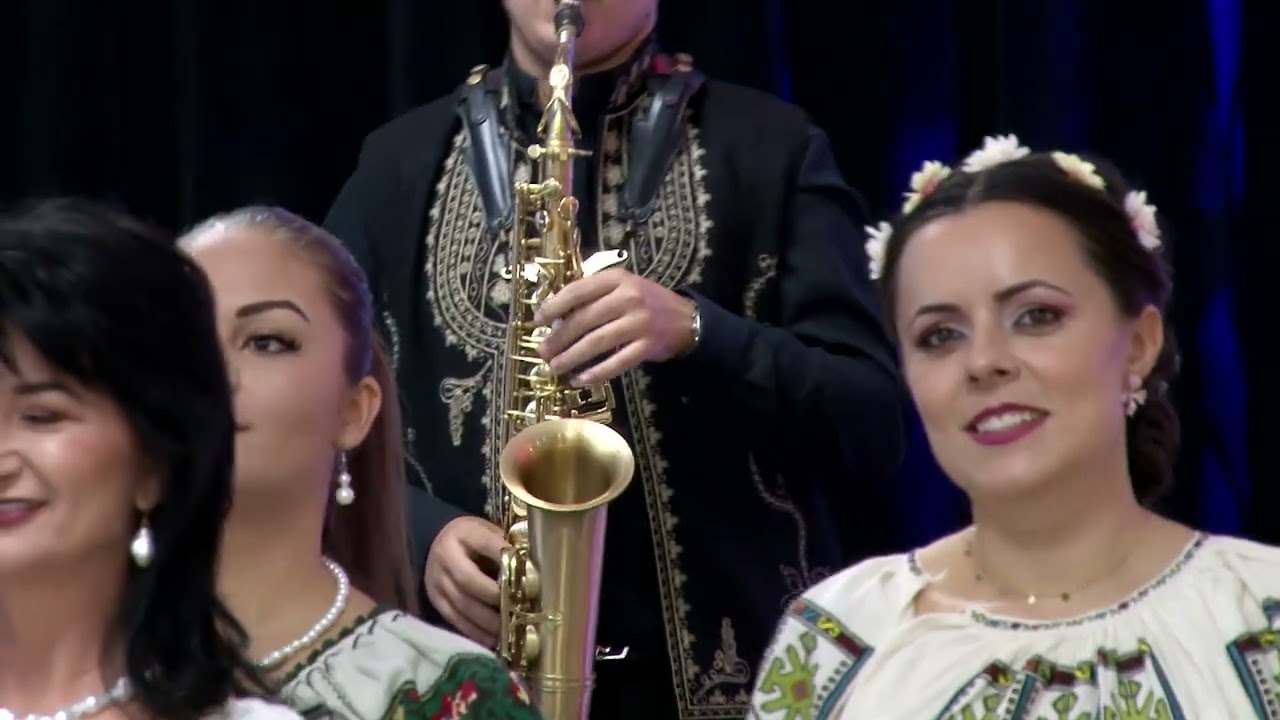 Fanelia Ilin - Surioara mea