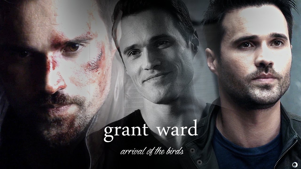 grant ward || i'm a survivor