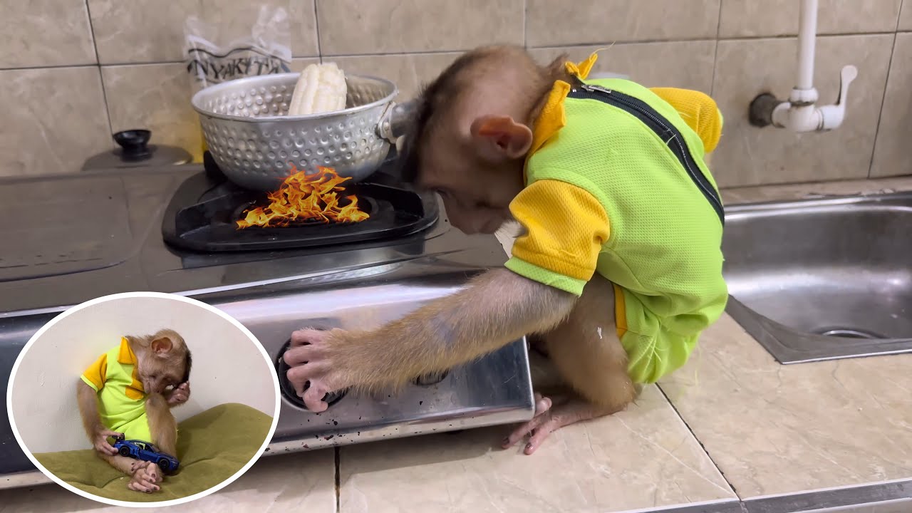 Мама в шоке! Кукуруза у Альфы варится ужасно! 😂