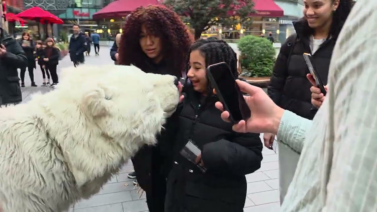 Белый медведь в торговом центре Westfield Stratford City | Жуткий белый медведь от Real Wildlife ...