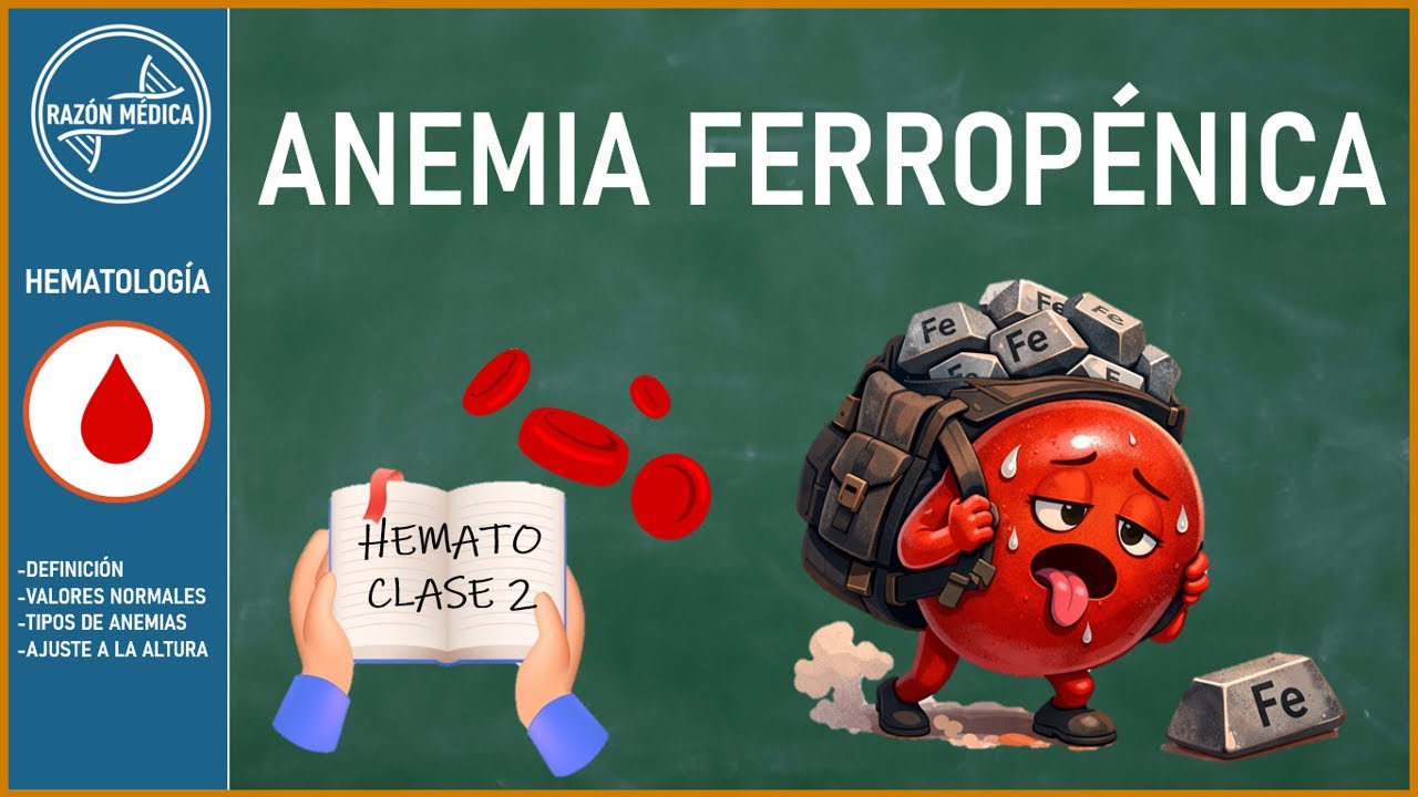 ANEMIA FERROPÉRNICA 📚 - Causas, clínica y tratamiento