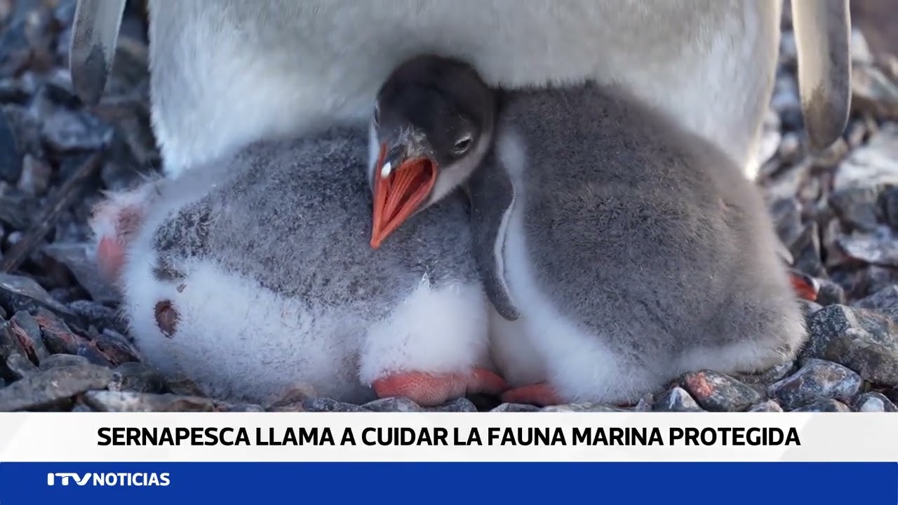 SERNAPESCA