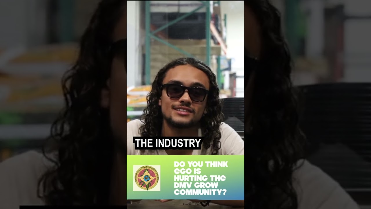 What is hurting the DMV Cannabis Community? #shorts #dmv #dc