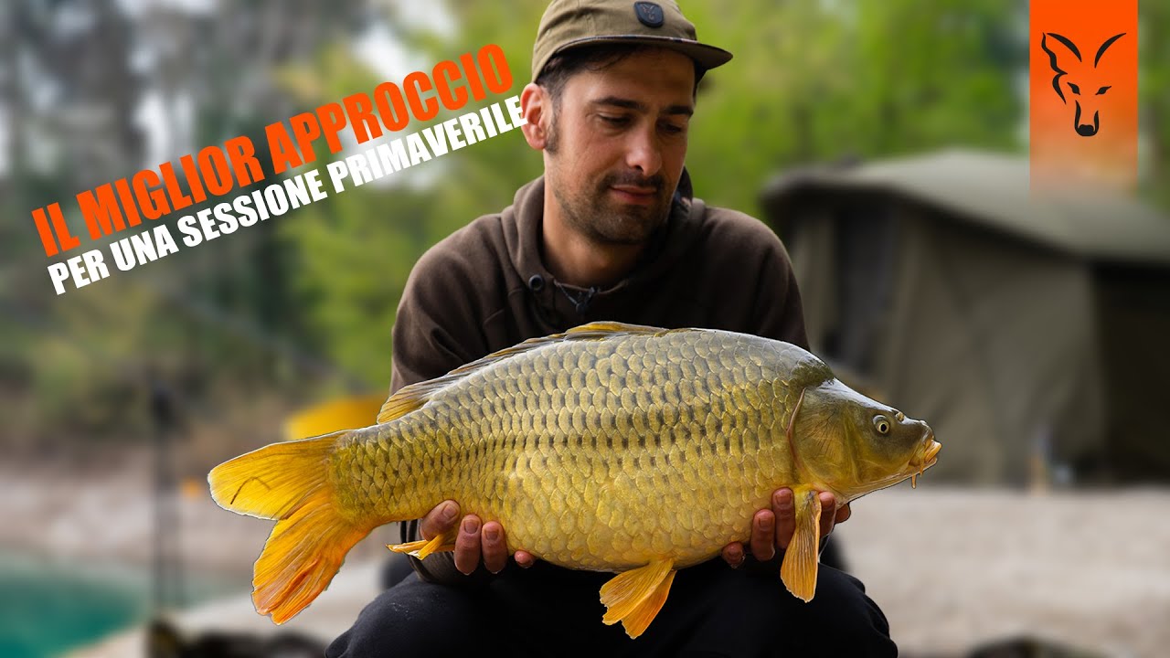 Il miglior approccio per una sessione primaverile | Carp fishing Italia