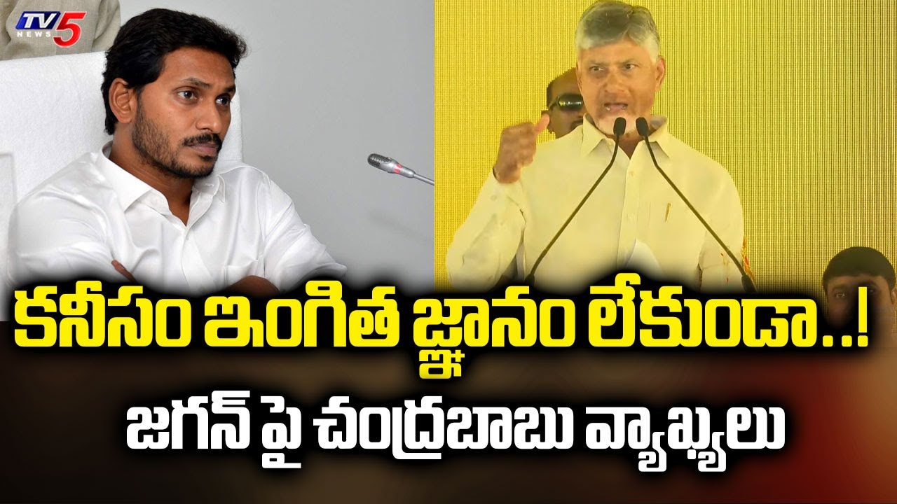 CM Chandrababu Naidu Sensational Comments On YS Jagan | YSRCP | AP Politics | TV5 News