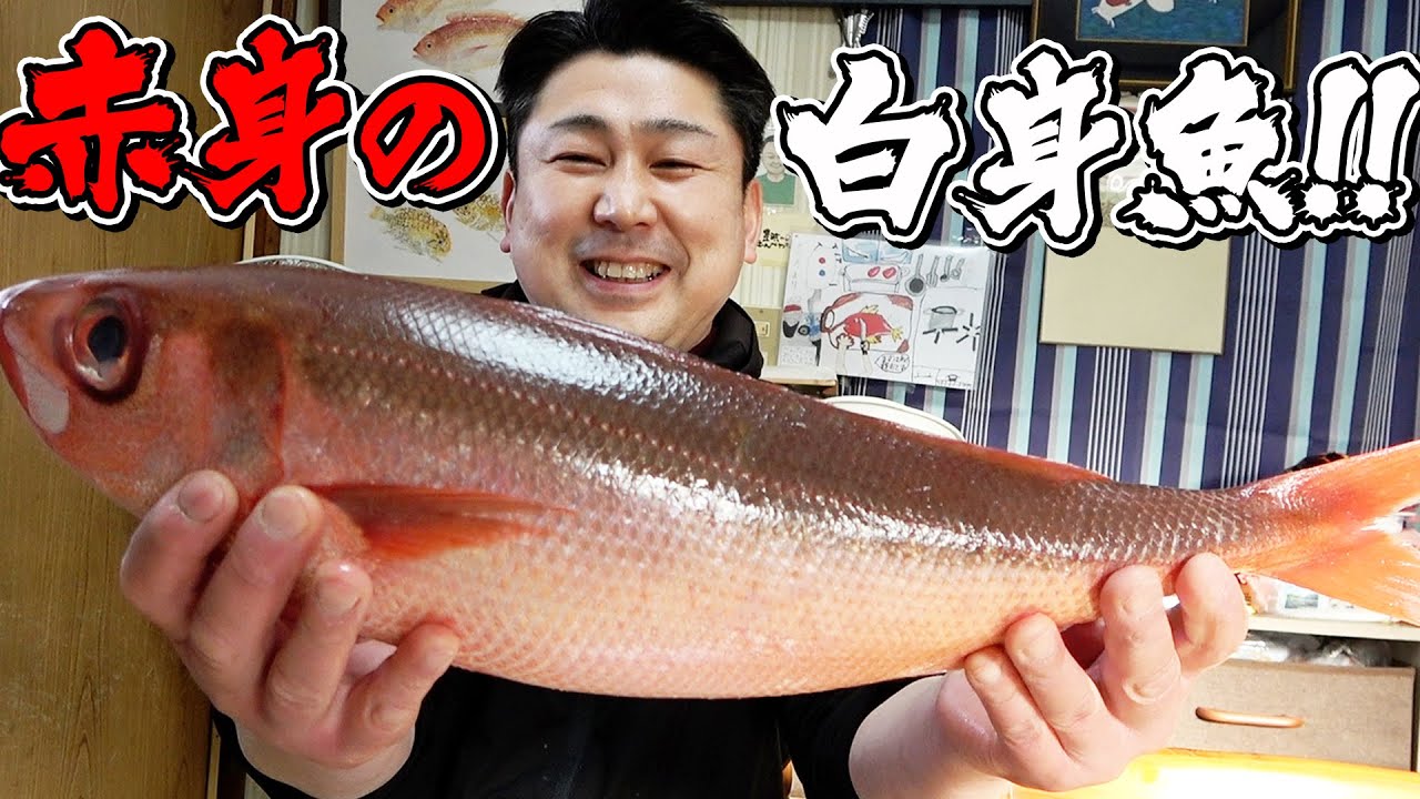 見た目は真っ赤なのに実は白身という不思議な深海魚【ハチビキ】を捌いてみた！ヒゲの兄貴と味の評価が分かれる結果に・・・！？